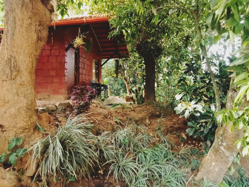 Edgestay Mudigere Esterno foto